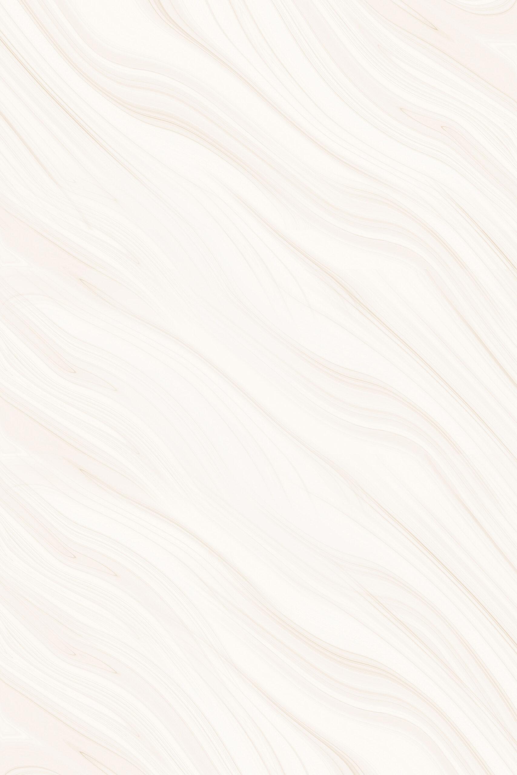 Bg Section Scaled